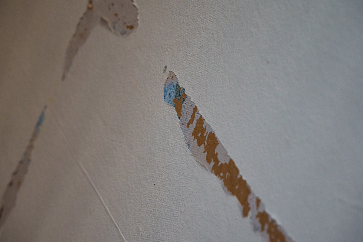 Water Extraction service in Glendale, CA